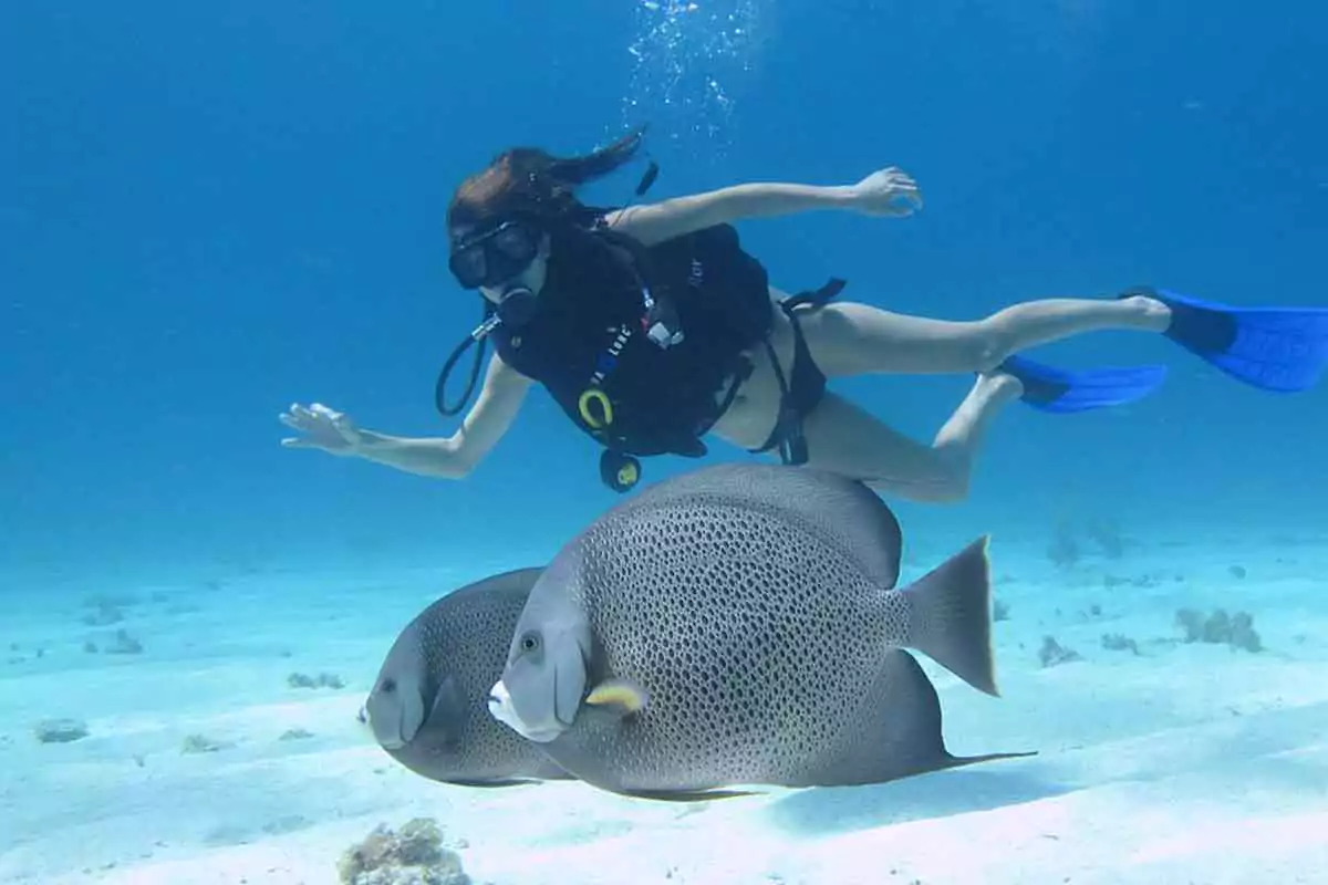 get your Scuba Diving certification in Cancun